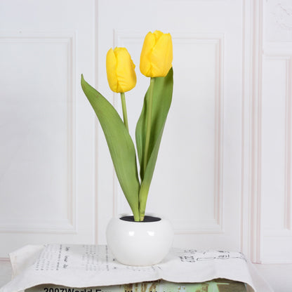 Bloom Tulip Table Lamp