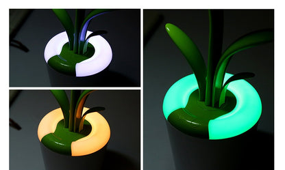 Clivia Eye Protection LED USB Desk Lamp