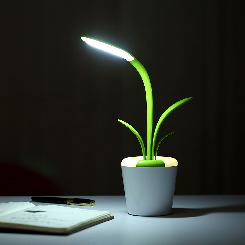 Clivia Eye Protection LED USB Desk Lamp