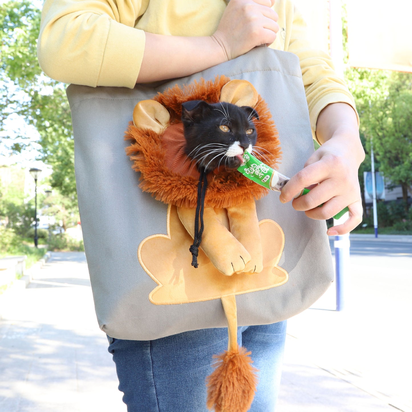 Lion Design Pet Carrier Portable Breathable