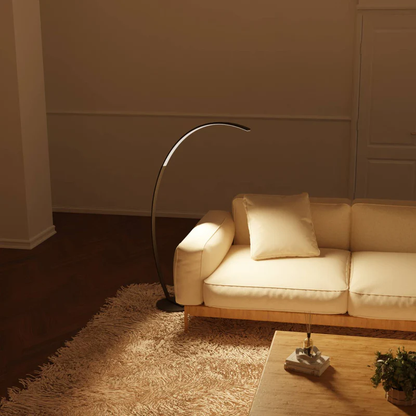 Courbe Designer Floor Lamp