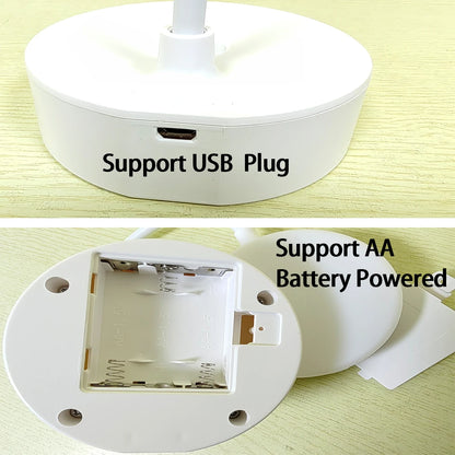 Portable LED Desk Lamp with Adjustable Dimming and USB Power