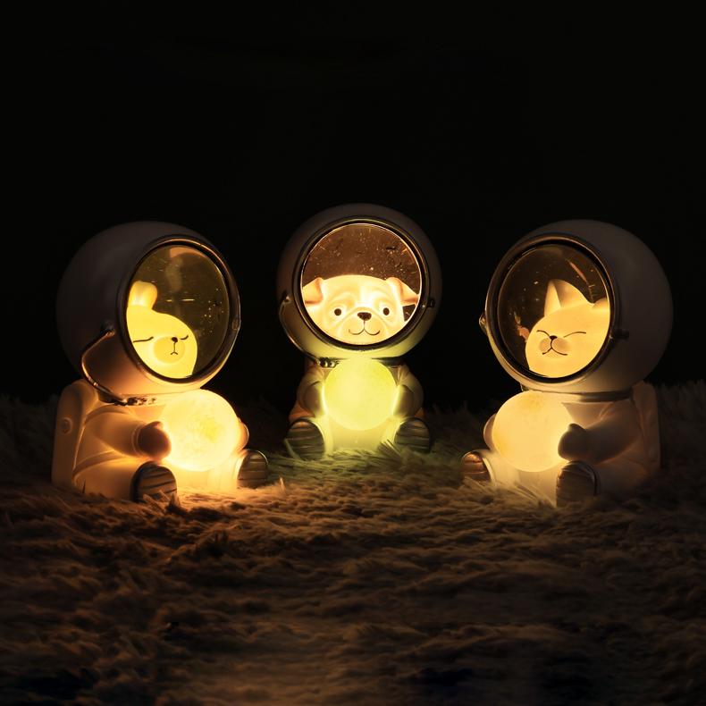 Astronaut Pet Lamp