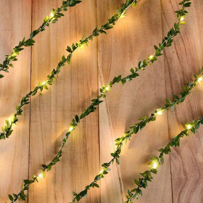 Magical Vine String Lights